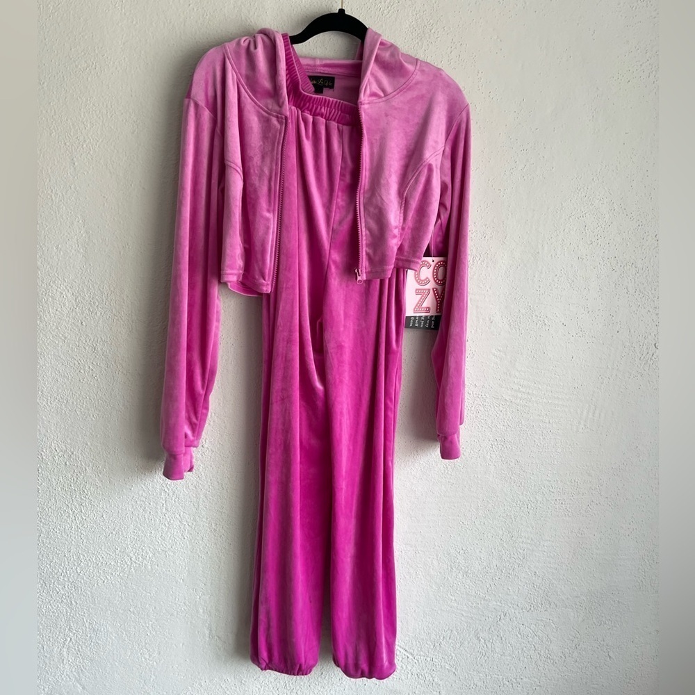 Vivre La Vie Velvet Pink Y2K Jogger and Crop Hooded Sweatshirt Set, Size L
